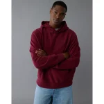AE Laidback Luxe Heavyweight Graphic Hoodie - Wineberry