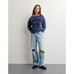 AE Velvet Graphic Crew Neck Sweatshirt - Cobalt Jewel