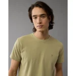 AE Lived-In Slim Fit T-Shirt - Olive