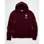 AE Lightweight Graphic Hoodie - Wineberry